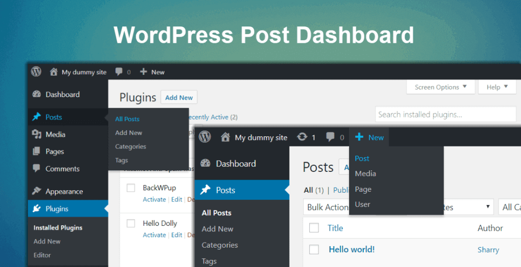 wordpress post option