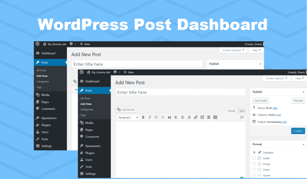 wordpress Post screen