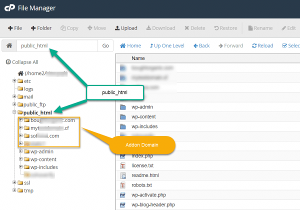 finding df root folder