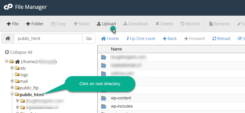 how-to-find-root-directory-of-wordpress-website-upload-files