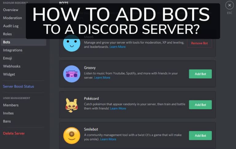 How to Add Bots to Discord Server [2020-21]