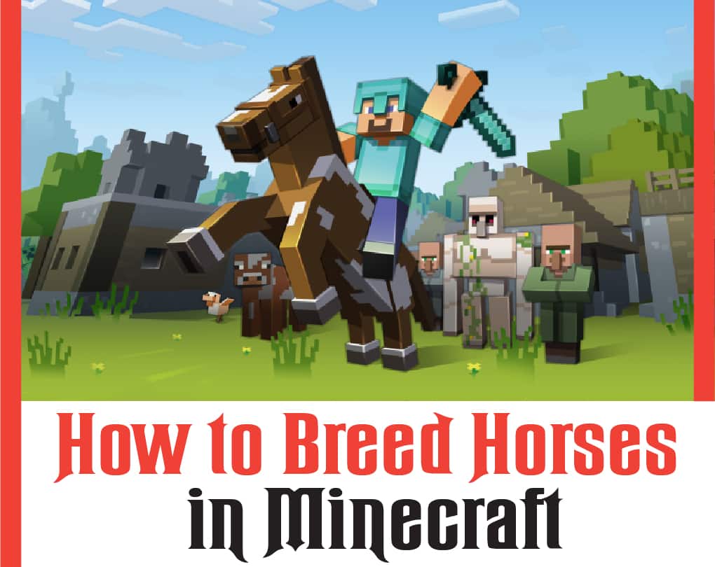 how to breed horses in minecraft pe