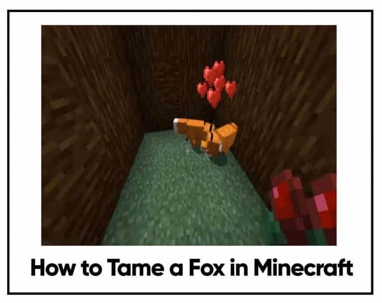 How To Tame A Fox In Minecraft - Easy Guide