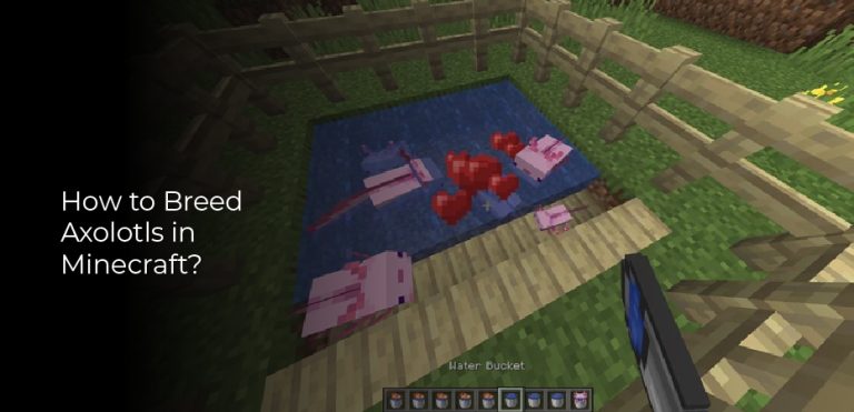 How To Breed Axolotls In Minecraft Hi Tech Work