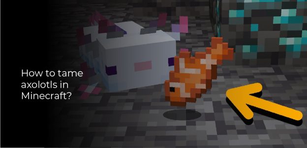 How To Tame Axolotls In Minecraft 5534