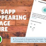 Meta Owned WhatsApp Disappearing Messages Feature