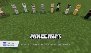 How to Tame a Cat in Minecraft